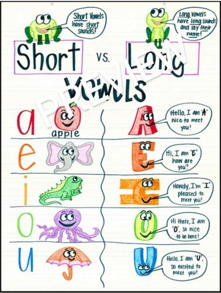 Is bug a long or short vowel