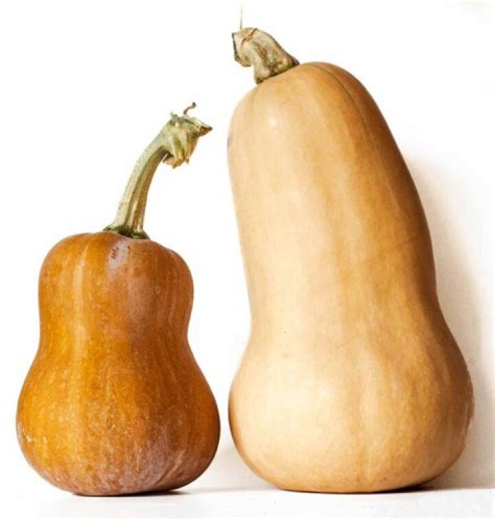 Is butternut a summer squash