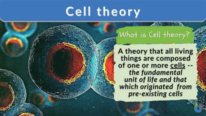 Is cell theory just a theory
