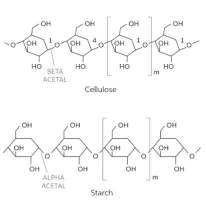 Is cellulose and starch same