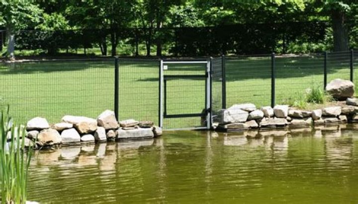 Is cement safe for pond fish