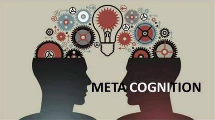 Is cognitive a metacognition