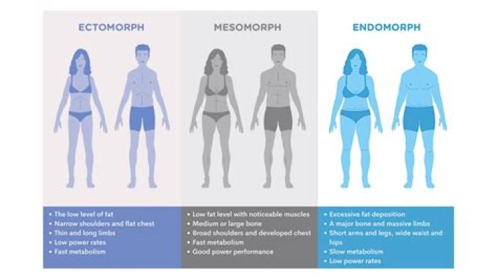 Is ectomorph body type good