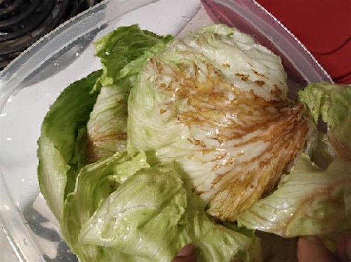 Is lettuce rust safe to eat