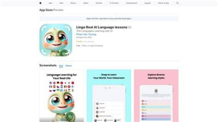 Is Lingo a real word