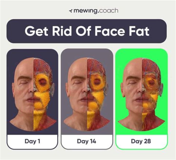 Is losing face fat possible