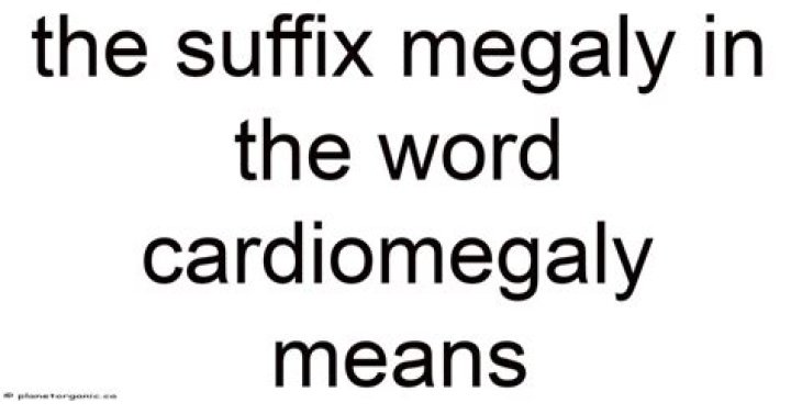 Is Megaly a prefix or suffix