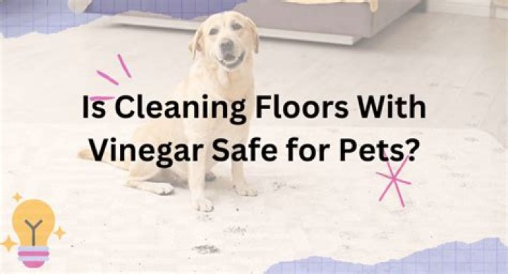 Is mopping with vinegar safe