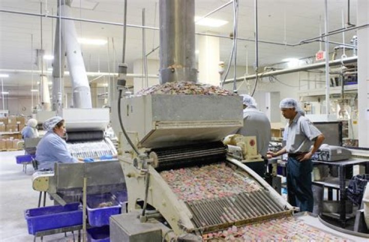 Is necco still making candy