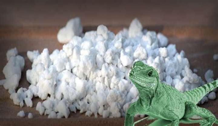 Is perlite safe for reptiles