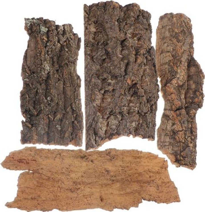 Is pine bark bad for snakes