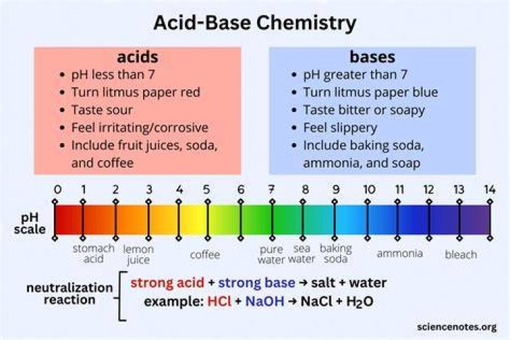 Is ranitidine a base or acid