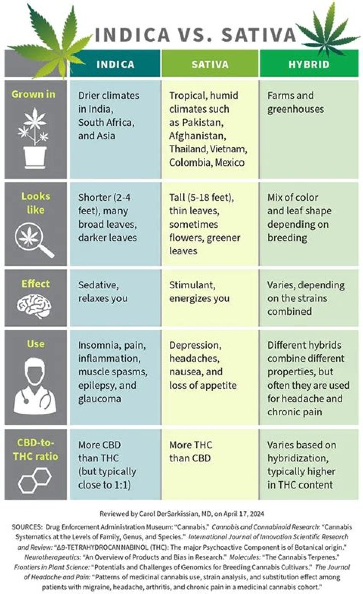 Is sativa a upper or downer