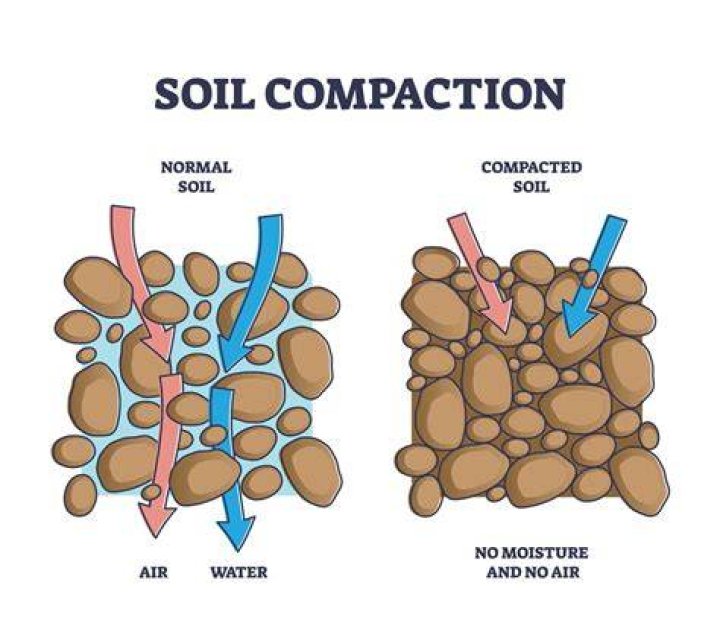 Is soil compaction a problem
