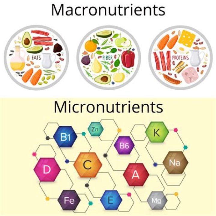 Is water not a macronutrient