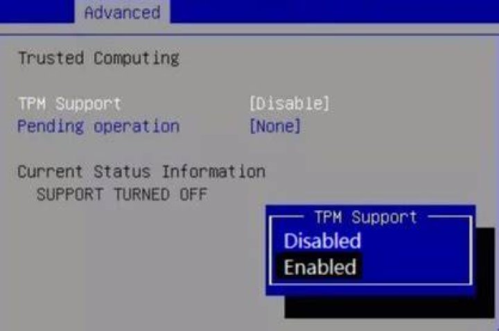 Should I enable TPM in BIOS
