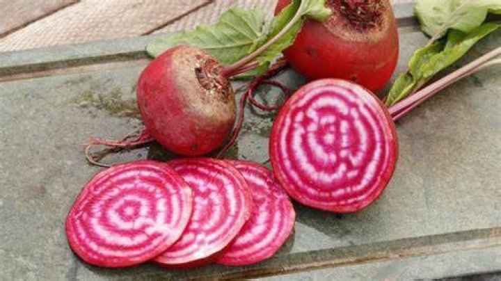 Should I start beets inside