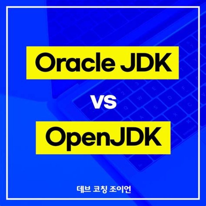 Should I use OpenJDK or JDK