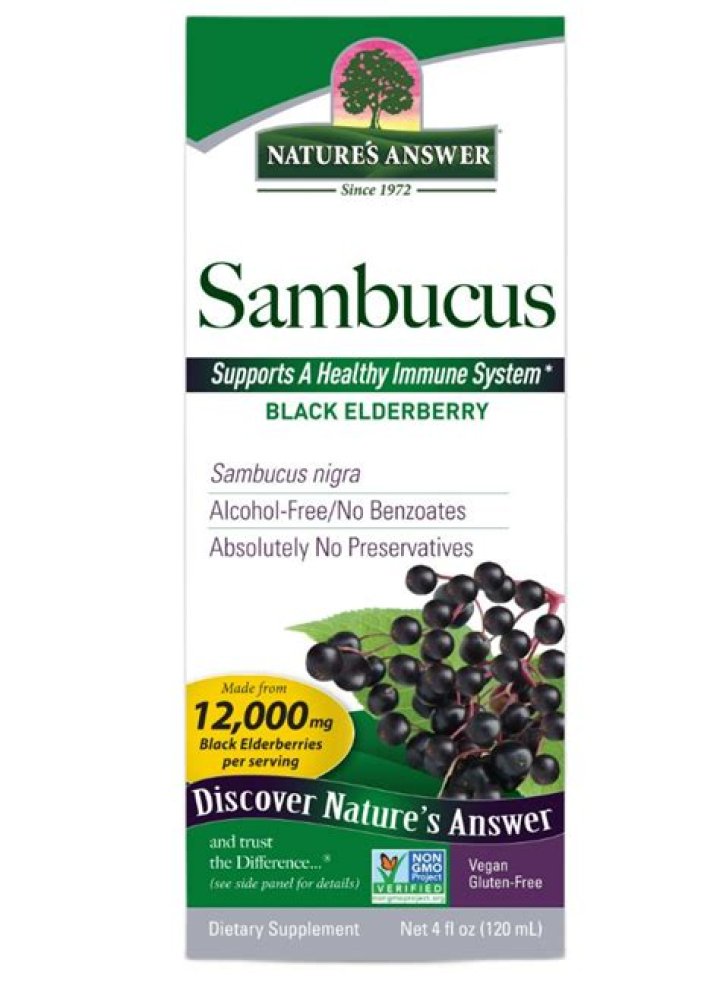 Should Sambucus be cut back