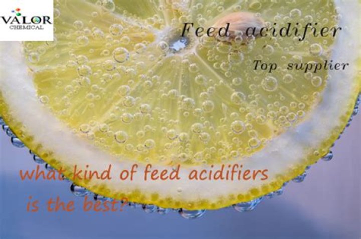What are acidifiers used for