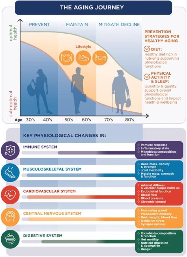 What are age related changes