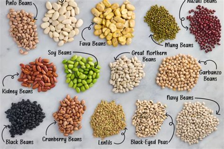 What are brown beans called