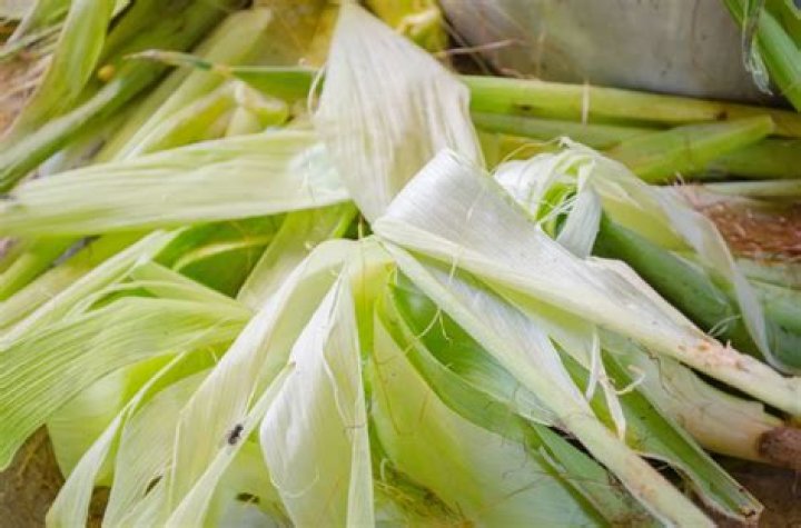 What are corn husks good for