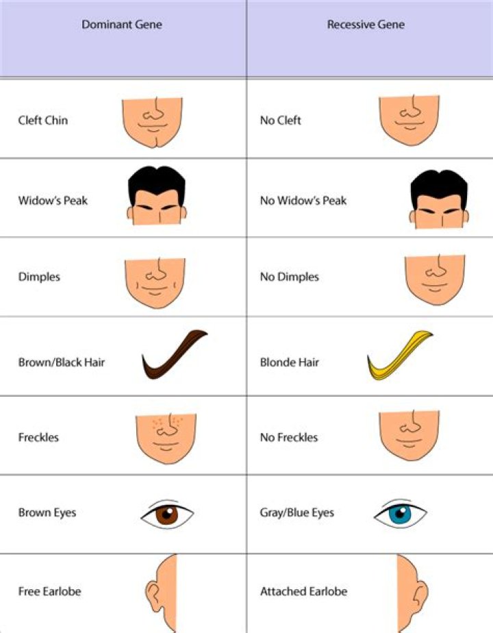 What are dominant phenotypes