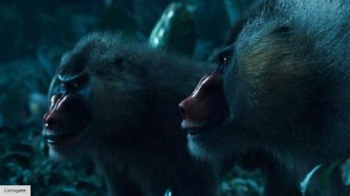 What are mutts in Mockingjay