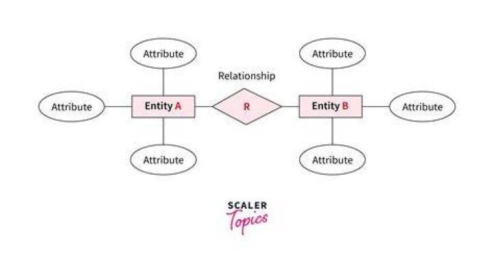 What are the 5 entity types