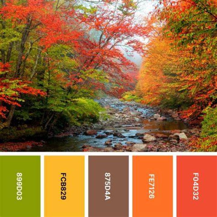 What are the colors for Fall