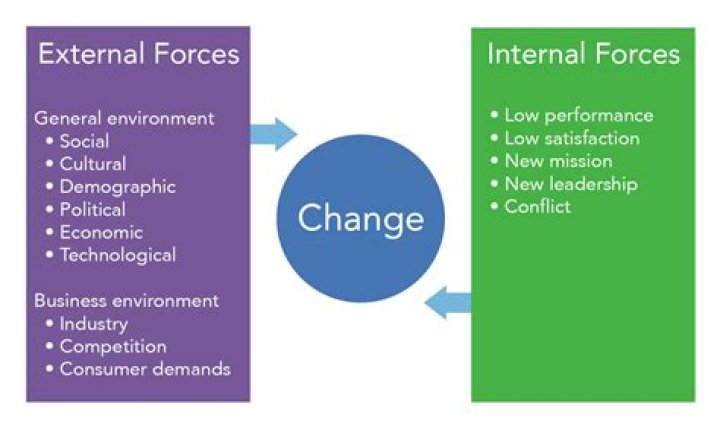 What are the internal force