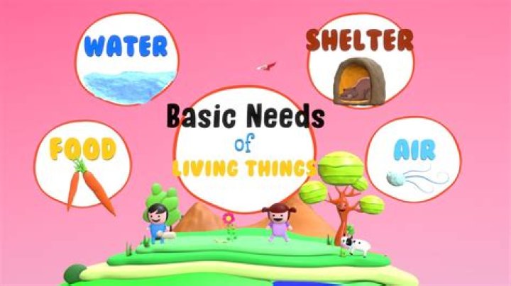 What are things that need energy
