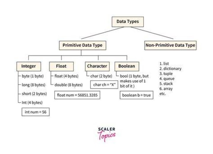 What are types of data items