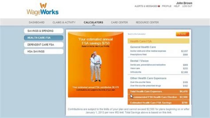 What can I use WageWorks for