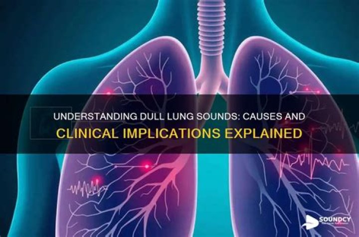 What causes dull lung sounds