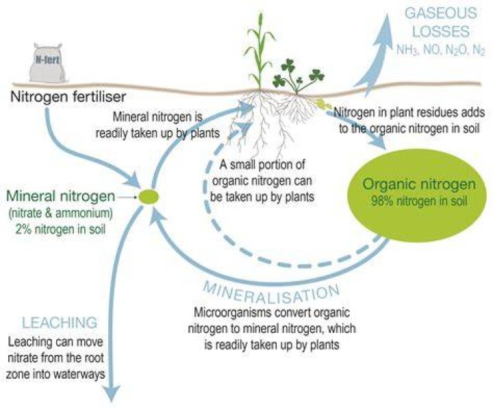What causes nitrates in soil