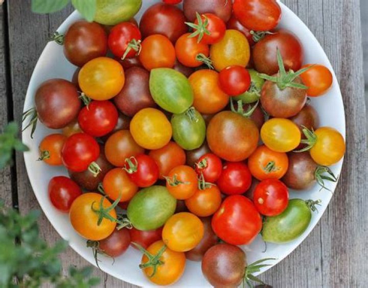 What color is cherry tomato
