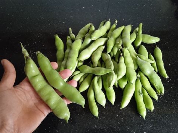 What colour is a broad bean