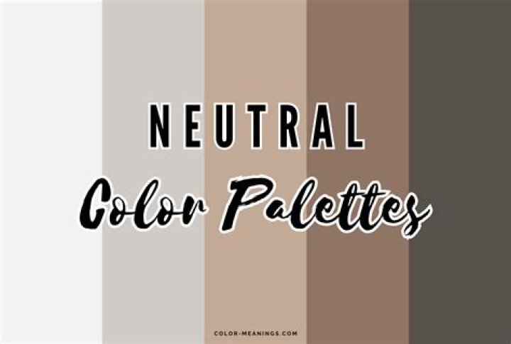 What Colours go with neutral