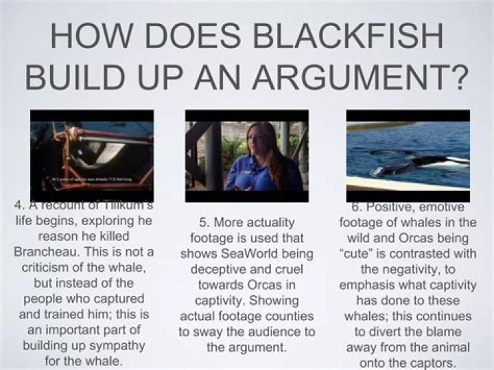 What did Blackfish get wrong
