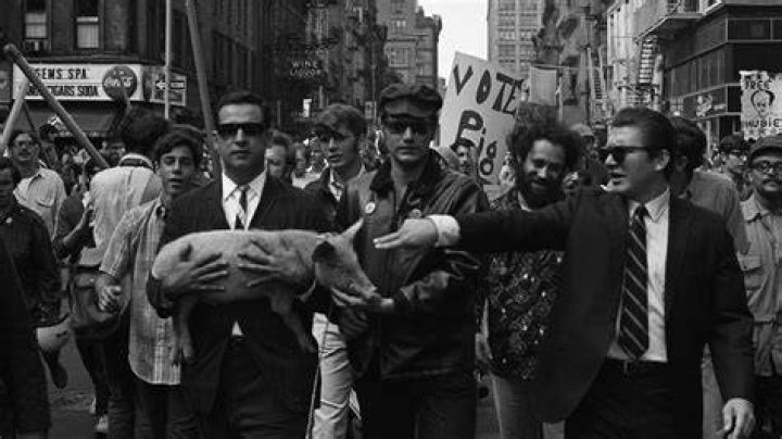 What did the Yippies protest