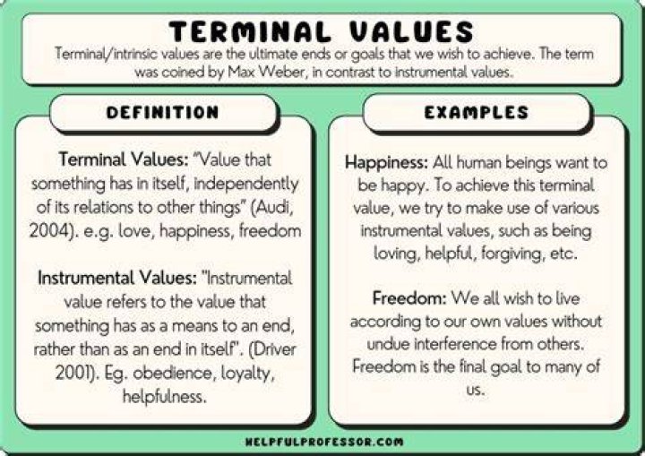 What do terminal values mean