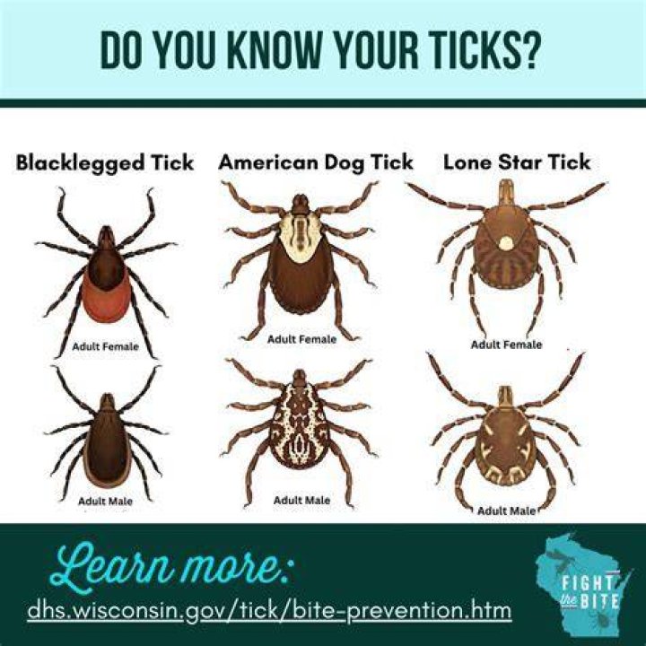 What do ticks hate the most