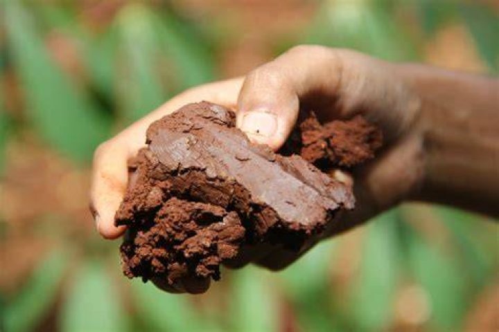 What do you do with wet soil