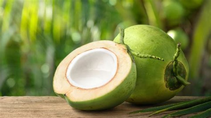 What does a coconut contain