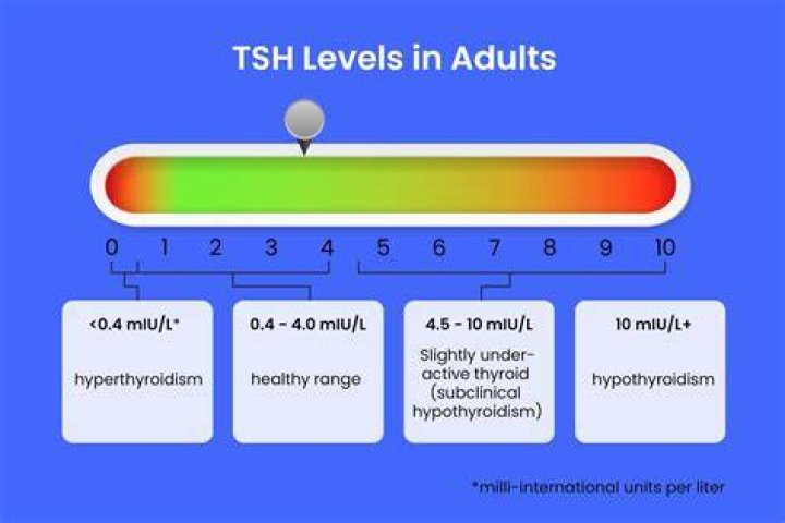 What does a high CK level mean
