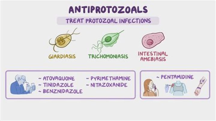What does Antiprotozoal mean