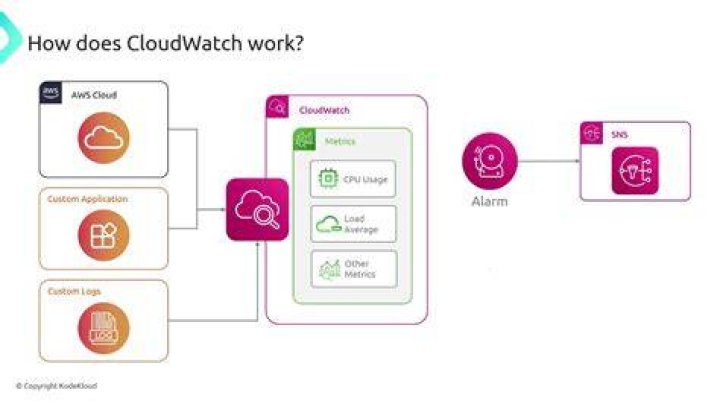 What does AWS CloudWatch do