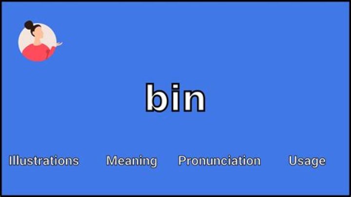 What does bin mean in slang